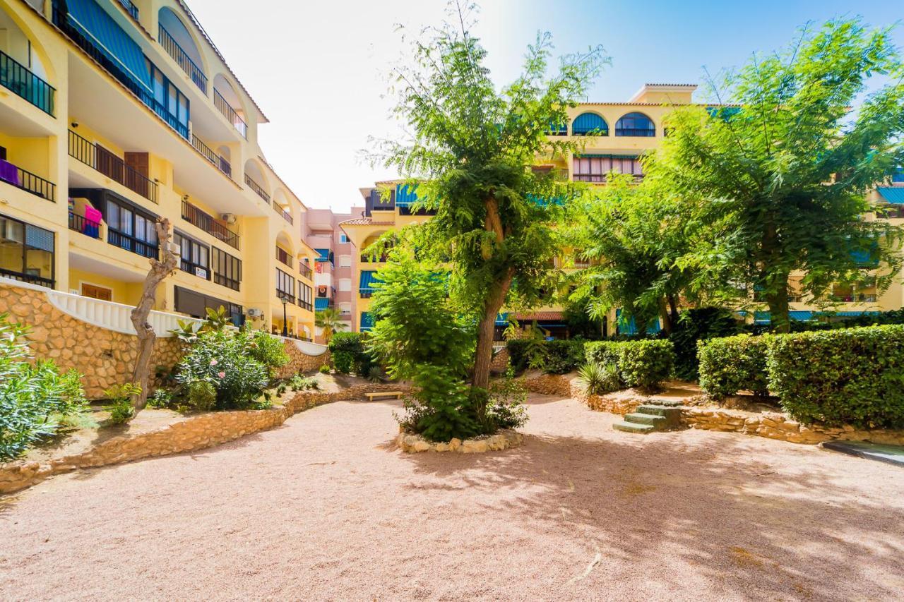 Apartamento Alegria Id36 La Mata  Eksteriør bilde